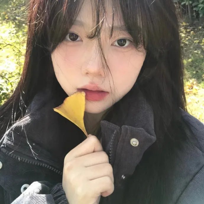 我的老板为何那样